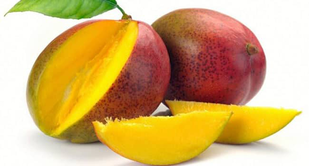 manfaat african mango
